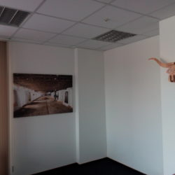 краски notewall