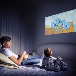 Краска для экрана проектора LV Ultra Luminance, 1 л